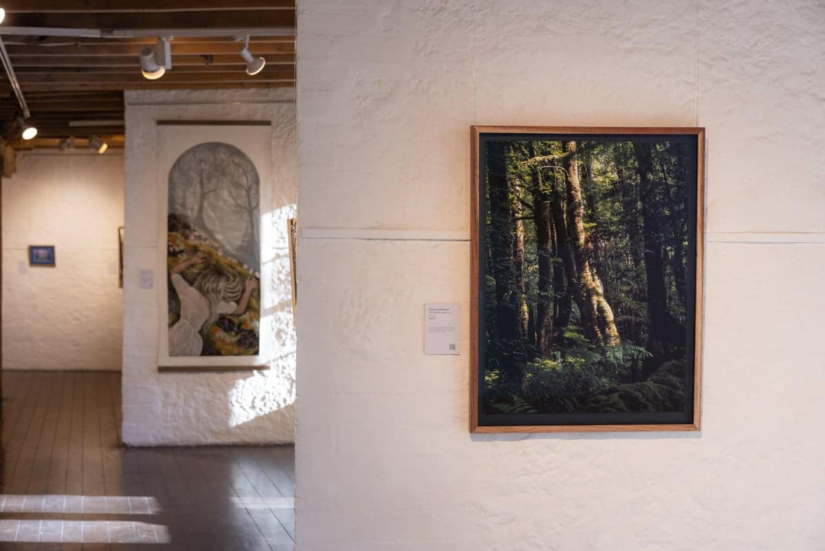 Bob Brown Foundation_Art for Takanya_Salamanca Arts Centre_Hobart 2026_Credit Rosie Hastie-1