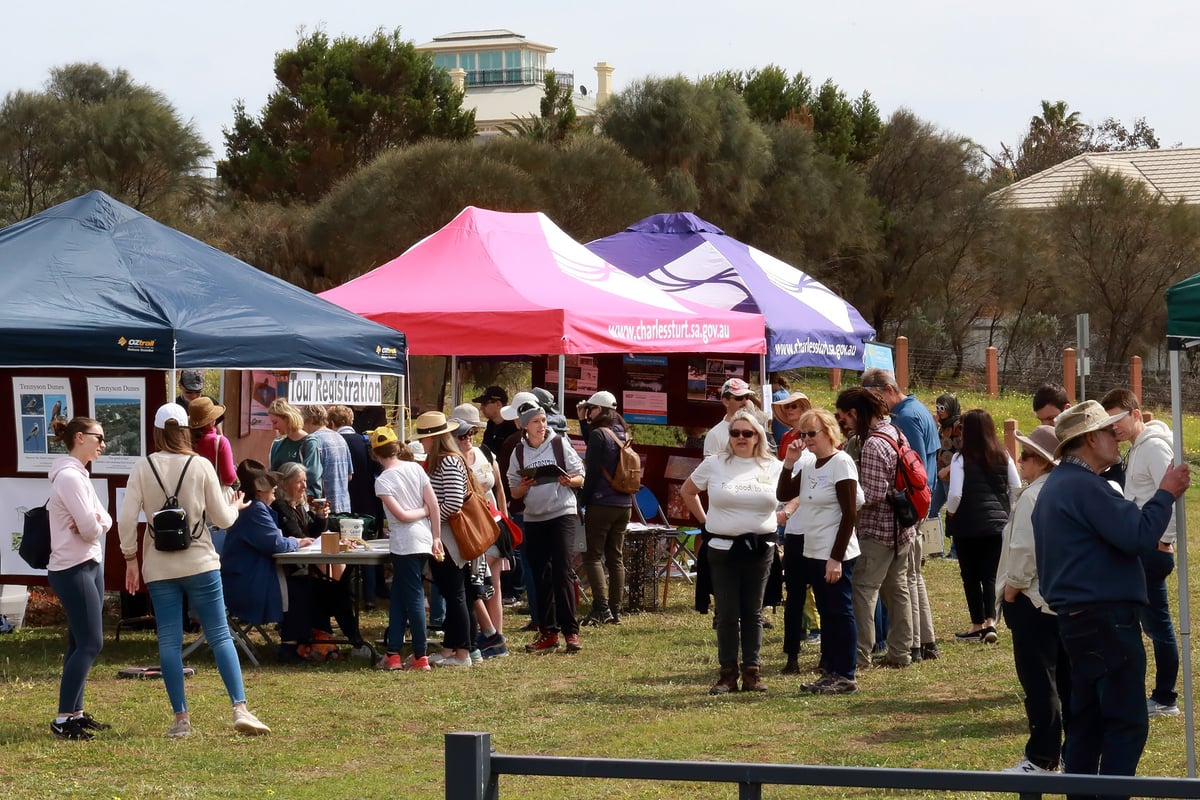 Open Day stalls - credit Kym Murphy
