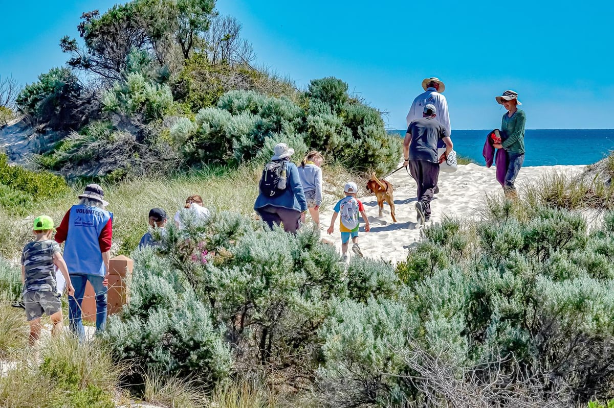 Tennyson Dunes Open Day Tour